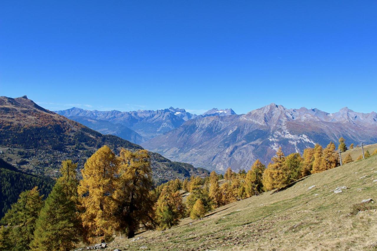 Pracondu 1 OUTDOOR&FUN appartement 1 chambre supérieur avec balcon by Alpvision Résidences Nendaz Esterno foto
