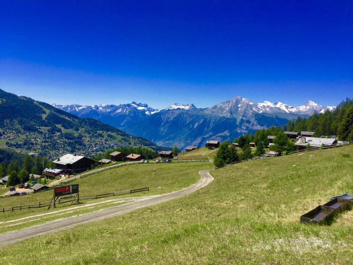 Pracondu 1 OUTDOOR&FUN appartement 1 chambre supérieur avec balcon by Alpvision Résidences Nendaz Esterno foto